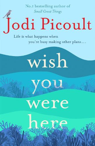 Jodi Picoult Wish You Were Here