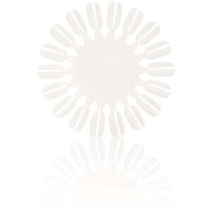 Salon Services Unpainted Colour Wheels Pack of 5 Salon Services Unpainted Colour Wheels Pack of 5