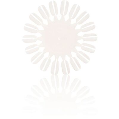 Salon Services Unpainted Colour Wheels, Pack of 5 Salon Services Unpainted Colour Wheels, Pack of 5