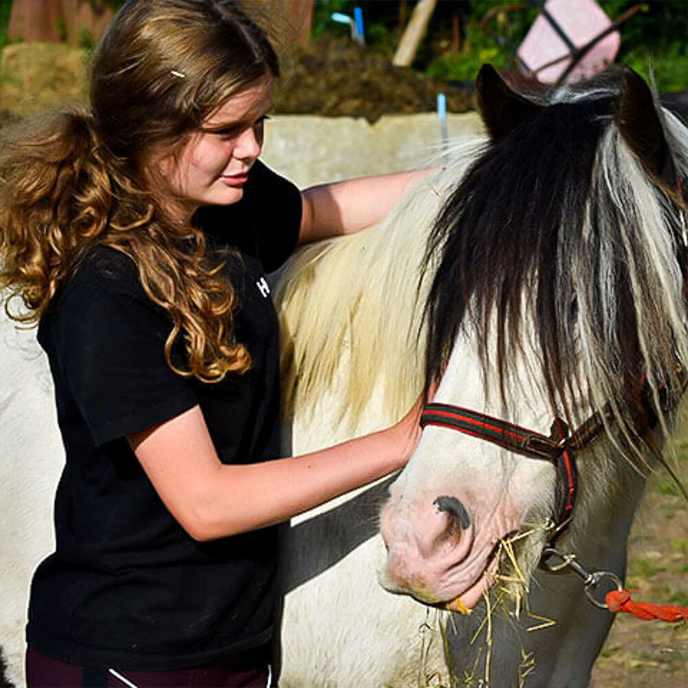 Prezzybox The Ancient Trails Company Pony Care Experience for Two