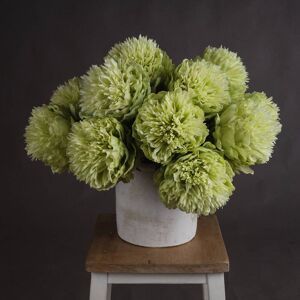 Hill Green Peony Hill Green Peony
