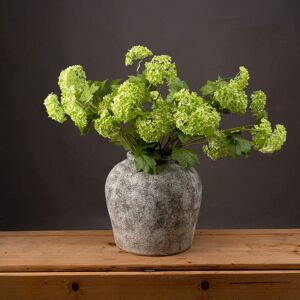 Hill Green Viburnum Spray Hill Green Viburnum Spray