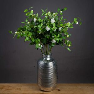 Hill Cream Gardenia Stem Hill Cream Gardenia Stem