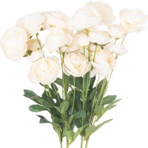 Hill Cream Ranunculus Hill Cream Ranunculus