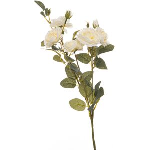 Hill Soft White Cottage Rose Stem Hill Soft White Cottage Rose Stem