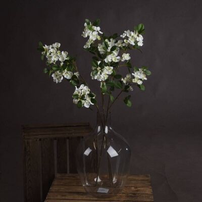 Hill White Spring Mock Orange Flower Hill White Spring Mock Orange Flower