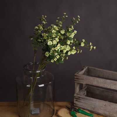 Hill Green Wild Meadow Rose Hill Green Wild Meadow Rose