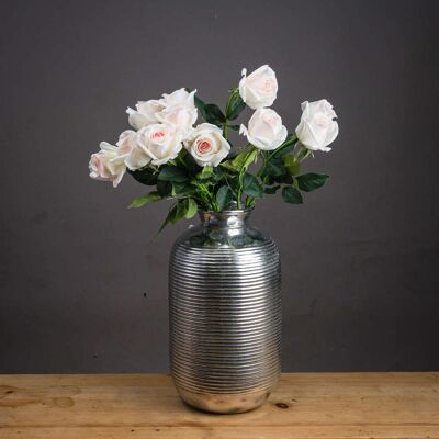Hill Palest Pink Tea Rose Hill Palest Pink Tea Rose
