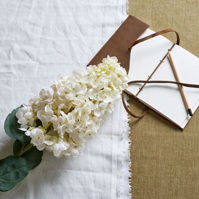 Hill White Spear Hydrangea Hill White Spear Hydrangea