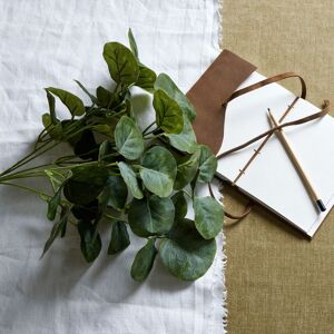 Hill Short Eucalyptus Bunch Hill Short Eucalyptus Bunch