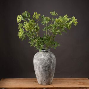 Ammi Faux Flower - Realistic Green Faux Wildflower Ammi Faux Flower - Realistic Green Faux Wildflower