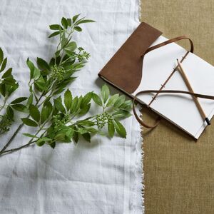 Hill Long Fennel Stem Hill Long Fennel Stem