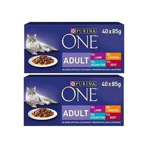 Purina ONE Adult Cat Food Mixed Mini Fillets in Gravy 40x85g