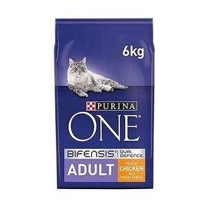 Purina ONE Adult Dry Cat Food Chicken & Wholegrains 6kg