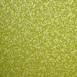 Terrys Fabrics Infinity Wallpaper Willow