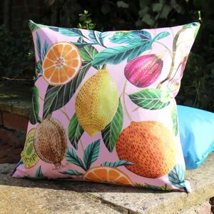 Terrys Fabrics Citrus Outdoor Twin Pack 43cm x 43cm Filled Cushion Multi