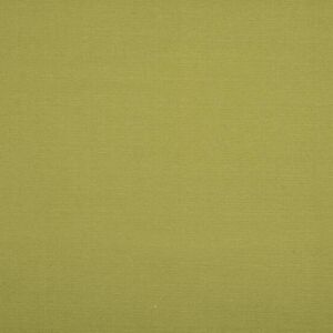 Terrys Fabrics Artemis Fire Retardant Upholstery Fabric Lime