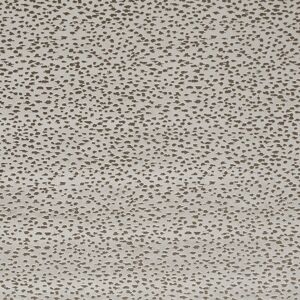 Terrys Fabrics Clarke & Clarke Astral Fabric Taupe