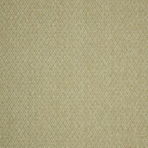 Terrys Fabrics iLiv Hindi Fabric Pistachio