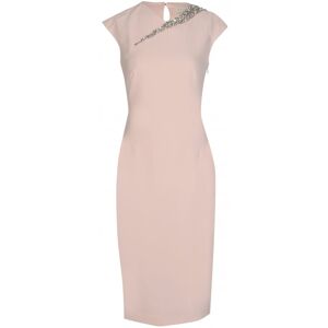 Ted Baker Womens Cut Out Back Detail Dress - Pink