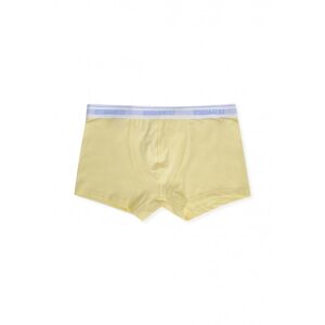 DSQUARED2 Contrast Waistband Boxers Yellow - Men - Yellow