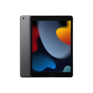 Apple iPad 2021 10.2 Space Grey 256GB Wi-Fi Tablet