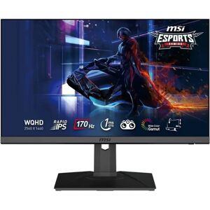 MSI G272QPF 27 IPS WQHD 170Hz 1ms FreeSyc Gaming Monitor