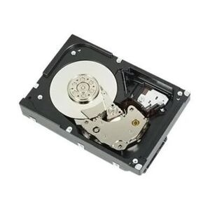 Dell 2TB 7.2K RPM SATA 6Gbps 512n 3.5 Inch Drive