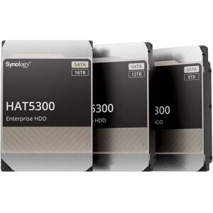 Synology HAT5300-12T 12TB HDD