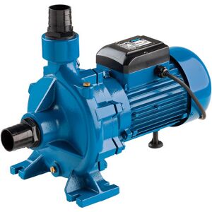 Clarke Clarke ECP20A1 2" Electric Centrifugal Pump (230V) Clarke Clarke ECP20A1 2" Electric Centrifugal Pump (230V)