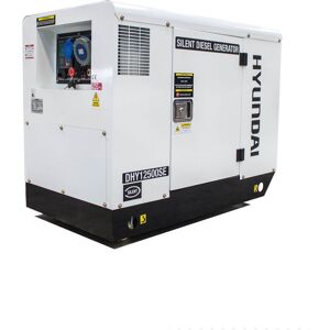 Hyundai DHY12500SE 12.5kVA Diesel Standby Generator 230V Hyundai DHY12500SE 12.5kVA Diesel Standby Generator 230V