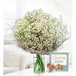Prestige Flowers Joyful Gypsophila - Free Chocs