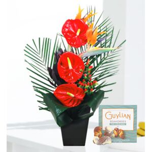 Prestige Flowers Exotica - Free Chocs