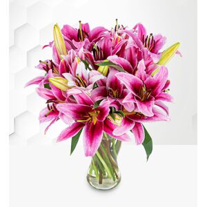 Prestige Flowers Stargazer - Flower Delivery - Next Day Flower Delivery - Next Day Flowers - Send Flowers - Flowers By Post