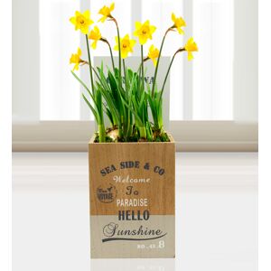 Prestige Flowers Tete a Tete Delight - Free Chocs