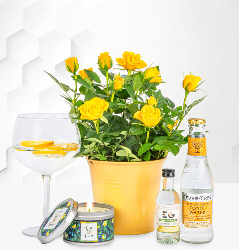 Prestige Flowers Roses and Gin - Gin Gifts - Gin Gift Sets - Gin Gift Delivery - Gin Hampers - Gin Hamper Delivery - Gin and Rose Plant