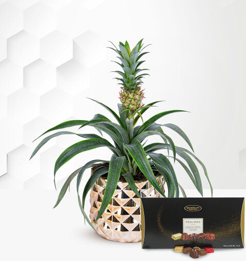 Prestige Flowers Golden Pineapple with Luxury Chocs