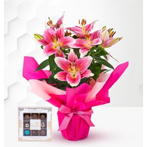 Prestige Flowers Lovely Lily Gift