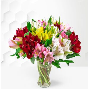 Prestige Flowers Alstroemeria Bouquet