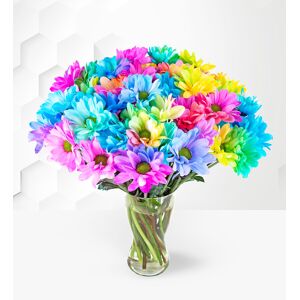 Prestige Flowers Rainbow Joy - Flower Delivery - Flowers By Post - Send Flowers - Next Day Flowers