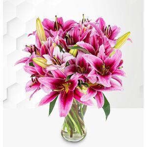 Prestige Flowers Stargazer - Flower Delivery - Next Day Flower Delivery - Next Day Flowers - Send Flowers - Flowers By Post