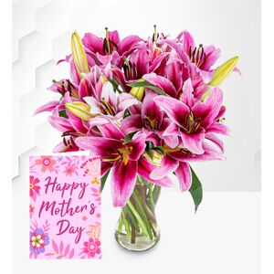 Prestige Flowers Stargazer Lilies with Card