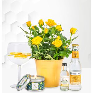 Prestige Flowers Roses and Gin - Gin Gifts - Gin Gift Sets - Gin Gift Delivery - Gin Hampers - Gin Hamper Delivery - Gin and Rose Plant