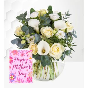 Prestige Flowers Rome with Card