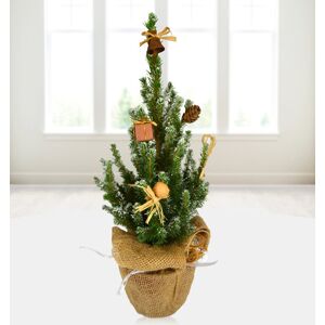 Prestige Flowers Petite Christmas Tree - Free Chocs