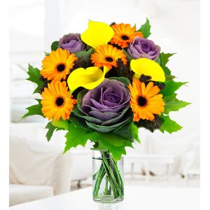 Prestige Flowers Autumn Radiance