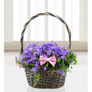 Prestige Flowers Mother's Day Basket - Free Chocs