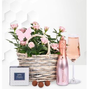 Prestige Flowers Rose and Bottega Basket - Pink Rose Plant - Birthday Gifts - Birthday Gift Delivery - Plant Gifts - Plant Gift Delivery