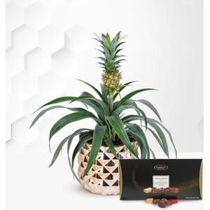 Prestige Flowers Golden Pineapple with Luxury Chocs