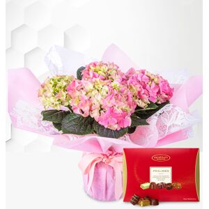 Prestige Flowers Spring Hydrangea With Chocolates